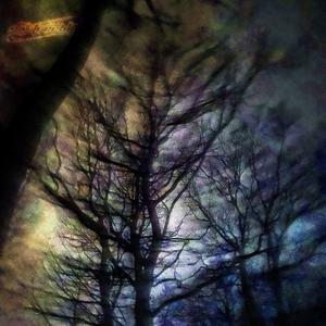 fading away (forever) (feat. rxscx) (Explicit)