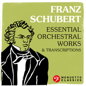 Rosamunde, Fürstin von Cypern, incidental music, D. 797 - VIII. Shepherd's Melody - Andante