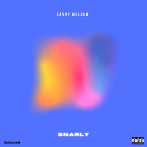 GNARLY (Explicit)