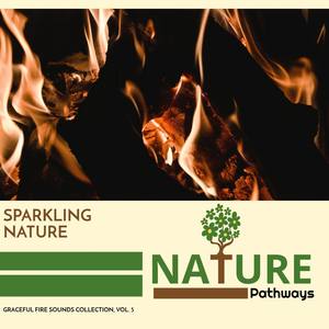 Sparkling Nature - Graceful Fire Sounds Collection, Vol. 5