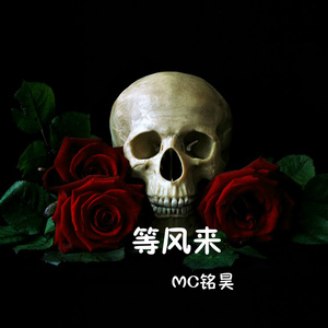 等风来