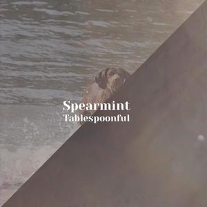Spearmint Tablespoonful