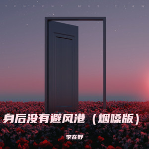 我身后没有避风港 (烟嗓版)