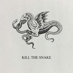 KILL THE SNAKE (Explicit)