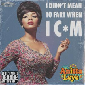 I Didn't Mean To Fart When I Cum (feat. Anitta Leye) (Explicit)