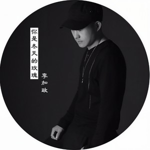你是冬天的玫瑰