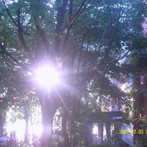 cuando todo era bonito