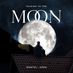 Mentol - Talking To The Moon