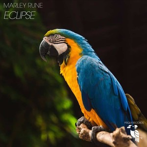 Eclipse (Planet Version)