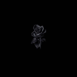 Rosas y canciones (Explicit)