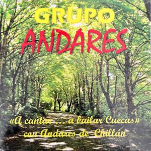 El Primer Beso (Las estrellas) (feat. Grupo Andares de Chillán)