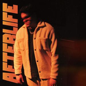 Afterlife
