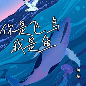你是飞鸟我是鱼