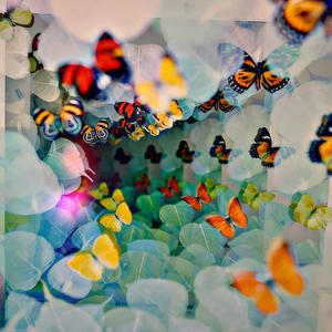 2000 Degreez (Explicit)