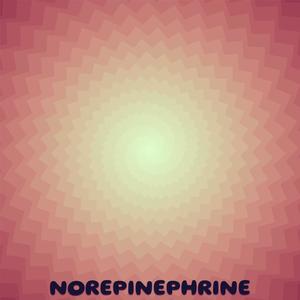 Norepinephrine