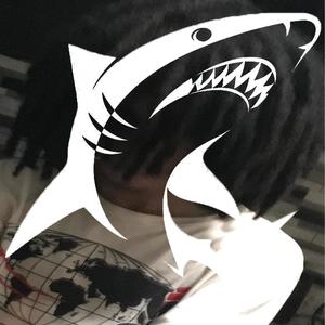 Shark (Explicit)