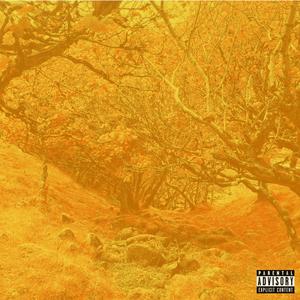 Ginger Roots (Explicit)