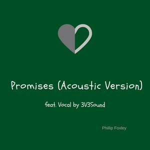 Promises (feat. 3v3sound)