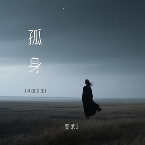 孤身 (氛围女版)封面