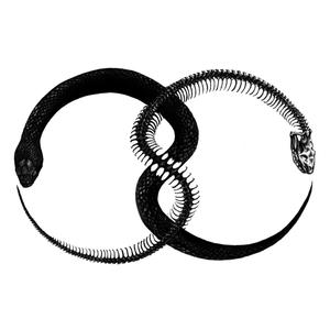 Not Gonna Fall For You(feat. Sorry X)