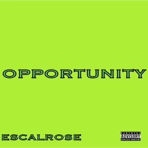 Opportunity