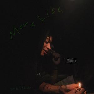 More Life (Explicit)