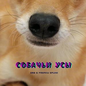 Ð¡Ð¾Ð±Ð°Ñ‡ÑŒÐ¸ ÑƒÑÑ‹