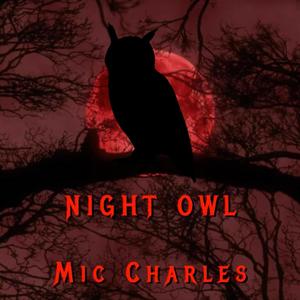 Night Owl (Explicit)