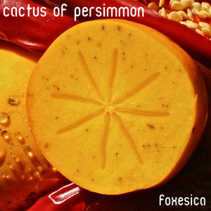 Cactus of Persimmon