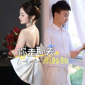 你走那天雨纷纷—诉情伤 (伴奏)