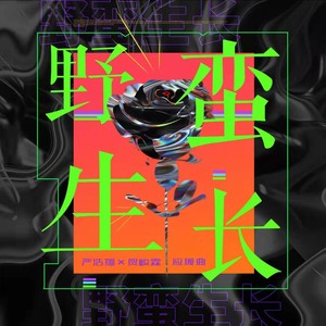 【翔霖应援曲】野蛮生长