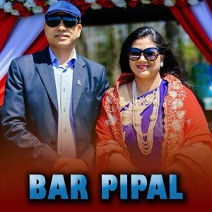 BAR PIPAL