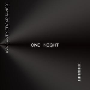 One Night (feat. Edgar Javier) [Explicit]