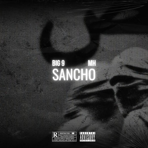 SANCHO (Explicit)