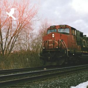 Sounds from My Bedroom Window