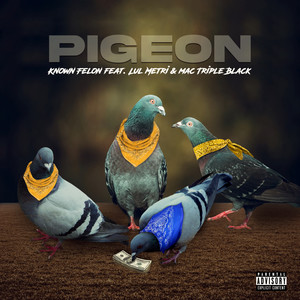 PIGEON (Explicit)