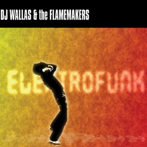 Electrofunk (Radio Mix)