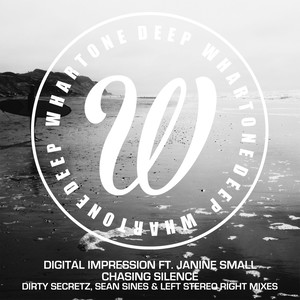 Chasing Silence (Left Stereo Right Remix)