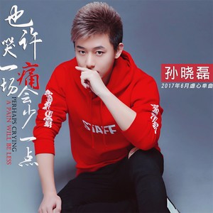 也许哭一场痛会少一点封面