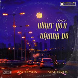 WHAT YOU WANNA DO (feat. MIKE BIRDS & JAY SPARX)