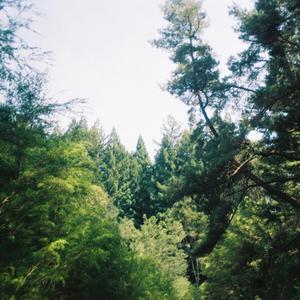 Back To You (Acoustic)