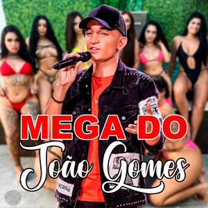 MEGA DO JOÃO GOMES (feat. Dj Vr Silva) (Explicit)