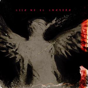 ELLA NO SE ENAMORA
