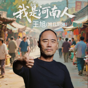 我是河南人