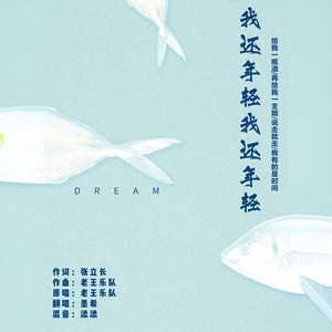 我还年轻 我还年轻