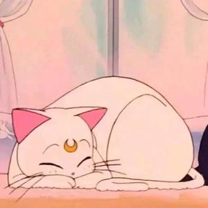 pink baby（已售）