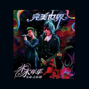 完美世界 (主题版) - 水木年华封面