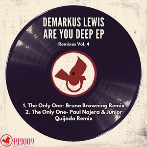 Are You Deep EP Remixes, Vol. 4