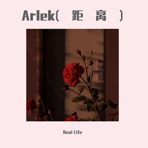 Arlek(距离)