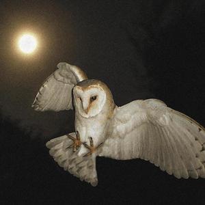 VALENTINE (feat. AceTana) (Explicit)